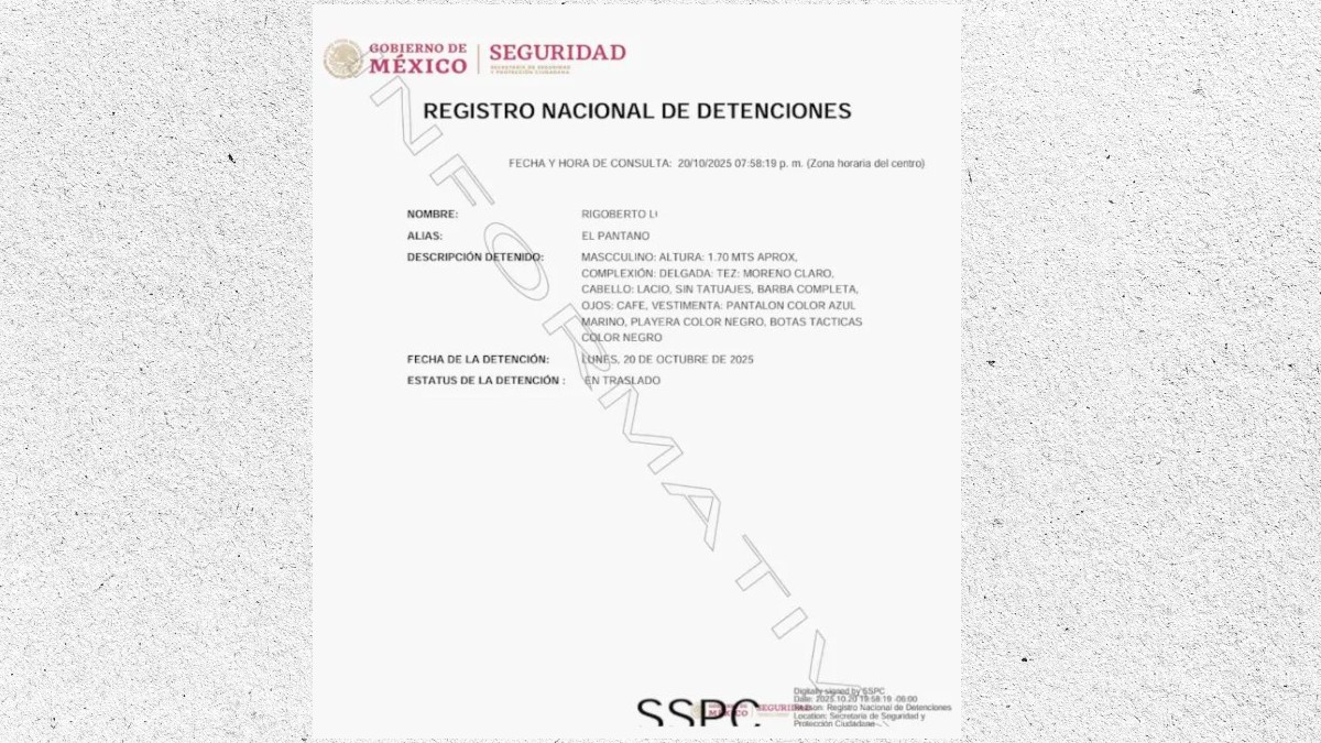 Documento del Registro Nacional de Detenciones del Gobierno de México con un sello de Documento del Registro Nacional de Detenciones del Gobierno de México con un sello de
