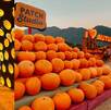 The Pumpkin Dash Monterrey 2025