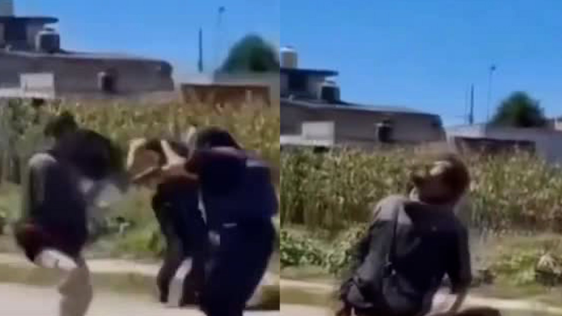 La intervención se registró tras una llamada de auxilio de una familia por asaltar y herir a un adulto mayor.