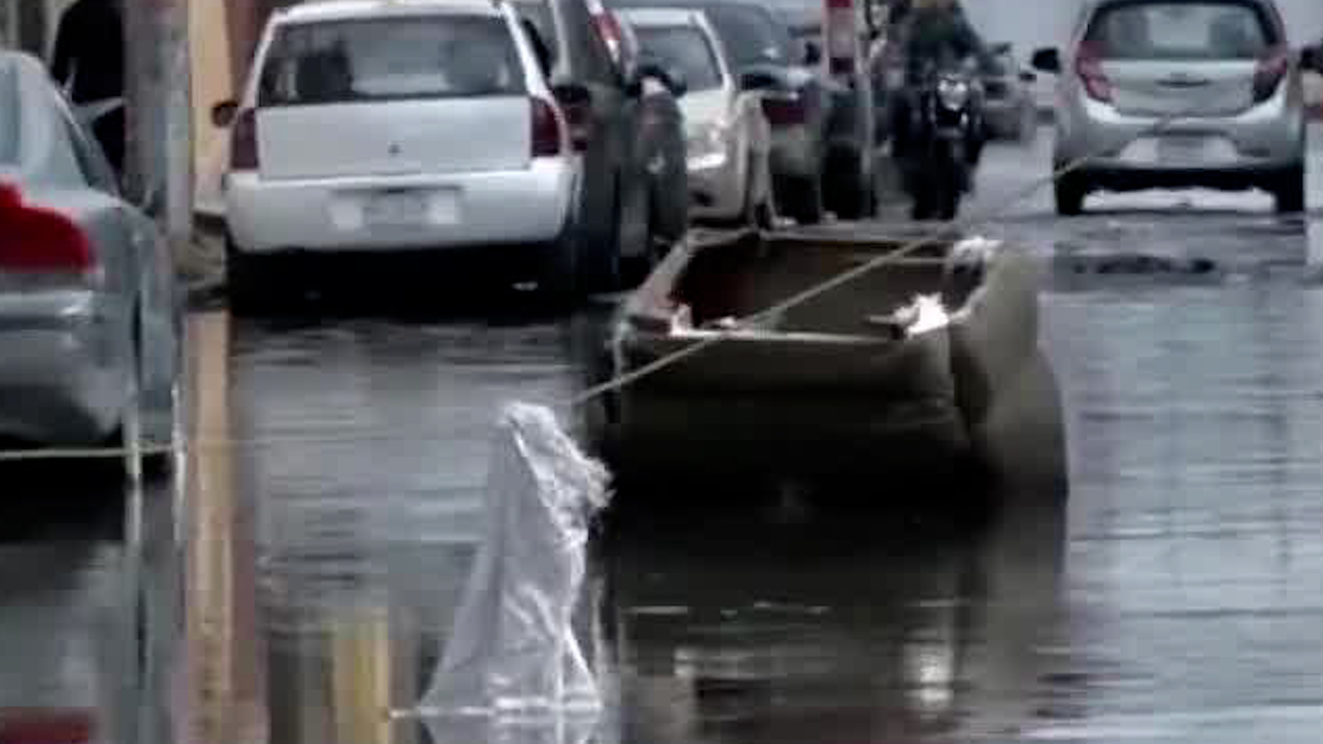 Omar Arellano Aguilar, profesor de la Escuela Nacional de Ciencias de la Tierra, habla para TELEDIARIO de la problemática de las inundaciones.