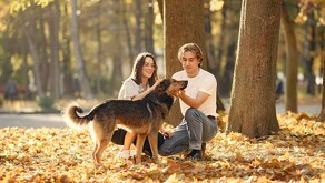 En Querétaro con quién se queda el perro, busca reconocer a los animales de compañía ya que en muchos hogares tienen la misma importancia emocional que un hijo.