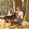 En Querétaro con quién se queda el perro, busca reconocer a los animales de compañía ya que en muchos hogares tienen la misma importancia emocional que un hijo. En Querétaro con quién se queda el perro, busca reconocer a los animales de compañía ya que en muchos hogares tienen la misma importancia emocional que un hijo.