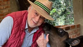 En la imgen se puede ver al Tío Pepe, el mayoral de La Granja VIP, junto a un perrito.