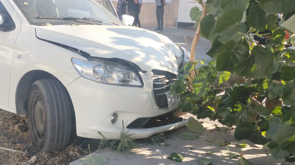 Un auto tipo sedán derribó un árbol tras manejar a exceso de velocidad. Un auto tipo sedán derribó un árbol tras manejar a exceso de velocidad.
