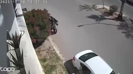 Luego de hacerse viral por haber robado un inflable de Halloween de la entrada de un circuito en Viñedos, Torreón, la mujer señalada regresó el adorno.
