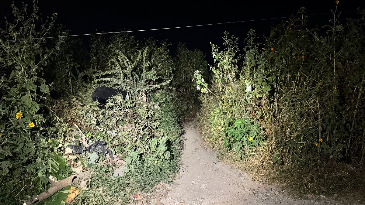 Camino de tierra angosto y oscuro por la noche, flanqueado por maleza y arbustos altos. Un área de basura y escombros se distingue a la izquierda, iluminada por Camino de tierra angosto y oscuro por la noche, flanqueado por maleza y arbustos altos. Un área de basura y escombros se distingue a la izquierda, iluminada por