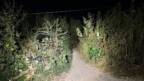 Camino de tierra angosto y oscuro por la noche, flanqueado por maleza y arbustos altos. Un área de basura y escombros se distingue a la izquierda, iluminada por