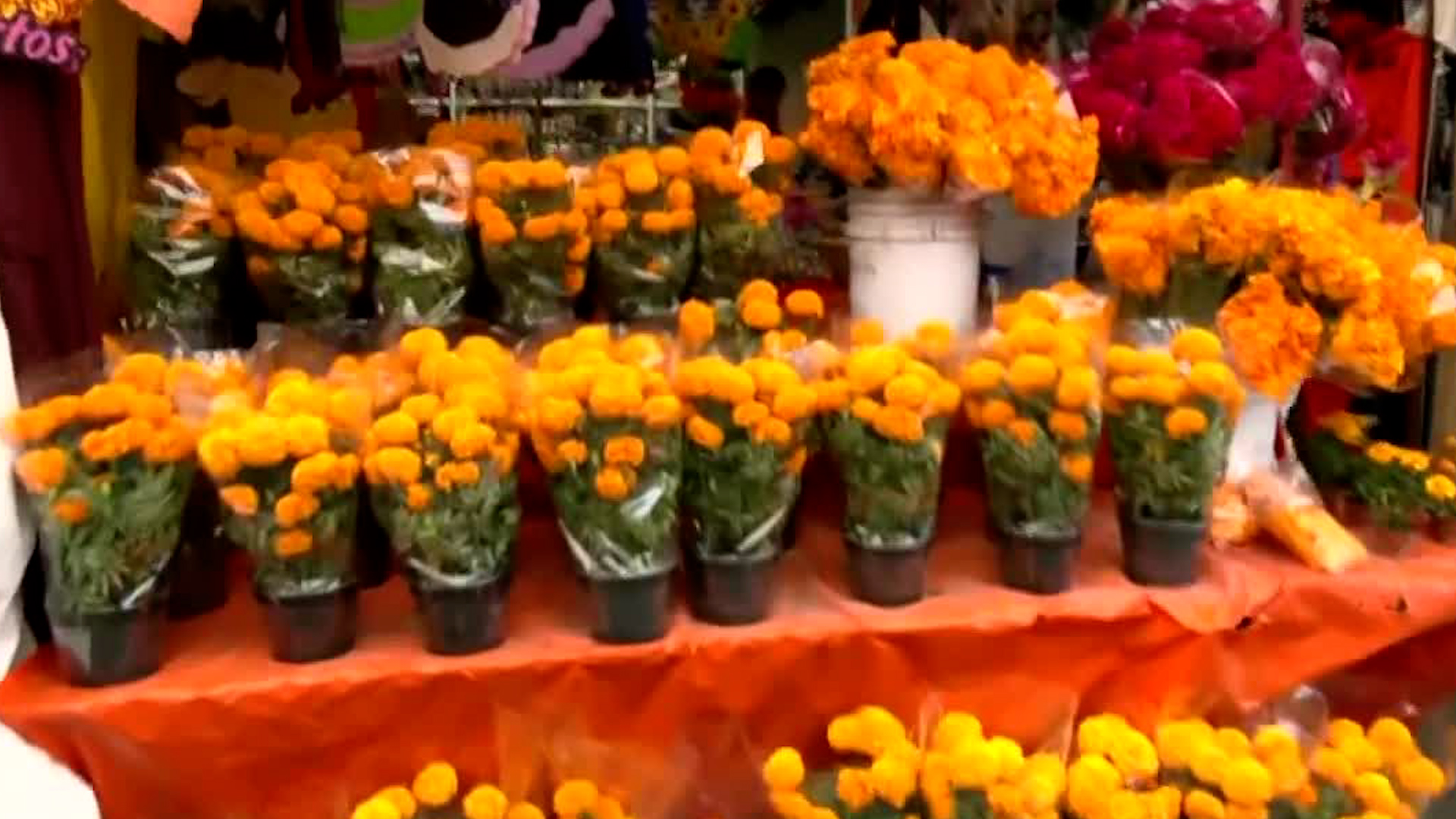 En el Mercado de Portales, ubicado en la alcaldía Benito Juárez, se venderán flores de cempasúchil, disfraces y adornos hasta el 3 de noviembre.