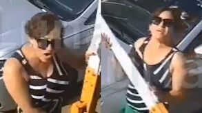 Una mujer fue apodada en internet, como Lady Gato por haberle gritado a un guardia de fraccionamiento 