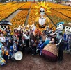 Cultivos de flores de cempasúchil en Xochimilco, que fueron mostrados durante la presentación del “Sendero de las Almas”. Cultivos de flores de cempasúchil en Xochimilco, que fueron mostrados durante la presentación del “Sendero de las Almas”.