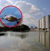 El Lago Céntrika luce descuidado y con basura