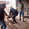 Hombres trabajan en labores de rescate entre escombros provocados por lluvias en Sierra Norte de Puebla. Hombres trabajan en labores de rescate entre escombros provocados por lluvias en Sierra Norte de Puebla.