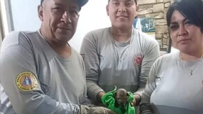 Cachorro rescatado de una tubería de drenaje en su casa en Lerdo.