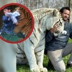 Cuidador ataque tigre Cuidador ataque tigre