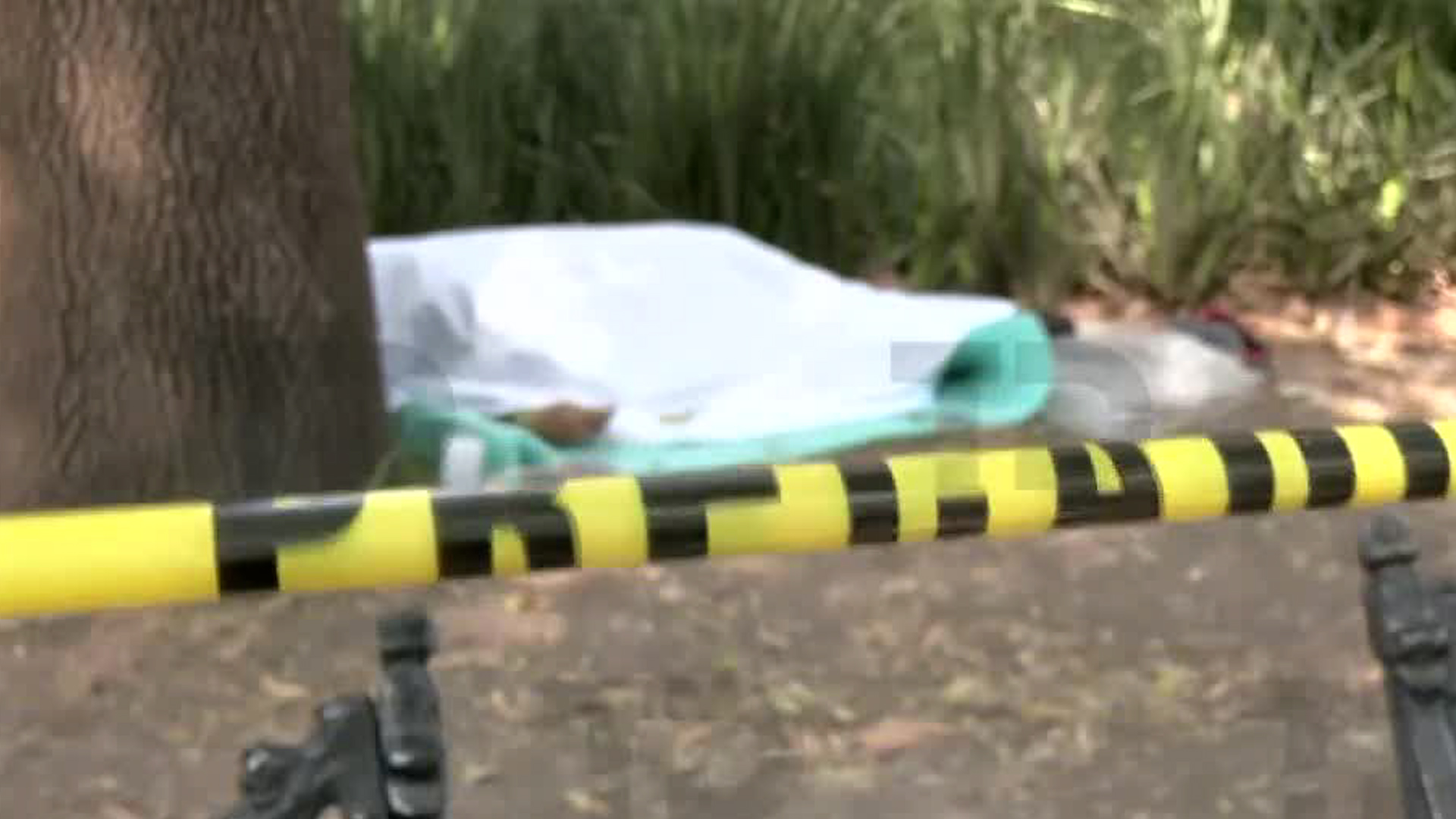 Policías auxiliares fueron desplegados para custodiar la zona bajo la presencia de cientos de peatones.