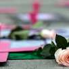 El estado de Nuevo León ha registrado 48 mujeres asesinadas en los primeros cinco meses del año 2025, de acuerdo con cifras del Gobierno de México. El estado de Nuevo León ha registrado 48 mujeres asesinadas en los primeros cinco meses del año 2025, de acuerdo con cifras del Gobierno de México.