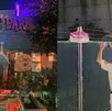 La mansión del terror, Panic Park, de Guadalajara clausurada por autoridades La mansión del terror, Panic Park, de Guadalajara clausurada por autoridades