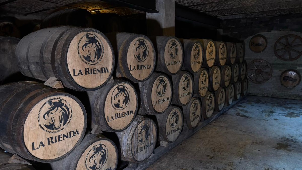 El proceso del tequila inicia con la jima del agave y culmina tras años de reposo en barricas de roble | Foto: Jorge Barajas
