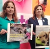 Fue la asociación TAC la encargada de adoptar al can y su recuperación tras la artera agresión que sufrió mientras dormía. Fue la asociación TAC la encargada de adoptar al can y su recuperación tras la artera agresión que sufrió mientras dormía.