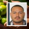 Foto El Bótox emitida por la Fiscalía de Michoacán por cobro de piso en producción de limón Foto El Bótox emitida por la Fiscalía de Michoacán por cobro de piso en producción de limón