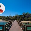Muelle de madera sobre el agua turquesa en una playa tropical. En la esquina superior izquierda, una foto de perfil de Charles Leclerc con su uniforme rojo Muelle de madera sobre el agua turquesa en una playa tropical. En la esquina superior izquierda, una foto de perfil de Charles Leclerc con su uniforme rojo