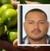 Foto El Bótox emitida por la Fiscalía de Michoacán por cobro de piso en producción de limón Foto El Bótox emitida por la Fiscalía de Michoacán por cobro de piso en producción de limón