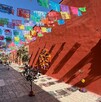 Miles de mariposas hechas con diferentes técnicas artesanales, además de catrinas y papel picado representan el Festival del paso de la mariposa. Miles de mariposas hechas con diferentes técnicas artesanales, además de catrinas y papel picado representan el Festival del paso de la mariposa.