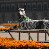 La ofrenda en Zócalo de Ciudad de México está llena de flores y figuras emblemáticas mexicanas La ofrenda en Zócalo de Ciudad de México está llena de flores y figuras emblemáticas mexicanas