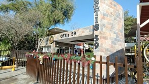 CETIS 59 Torreón agresiones con pubertos peleando.