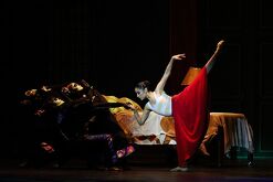 Imágenes en representación de la gran artista Frida Kahlo.