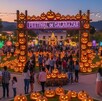 El Festival de calabazas en el Parque Bicentenario promete llenar de magia, misterio y enormes decoraciones de esta fruta naranja. El Festival de calabazas en el Parque Bicentenario promete llenar de magia, misterio y enormes decoraciones de esta fruta naranja.