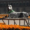 La ofrenda en Zócalo de Ciudad de México está llena de flores y figuras emblemáticas mexicanas La ofrenda en Zócalo de Ciudad de México está llena de flores y figuras emblemáticas mexicanas