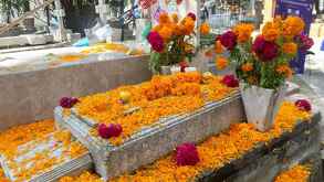 Tumbas adornadas por Día de Muertos en panteón Dolores