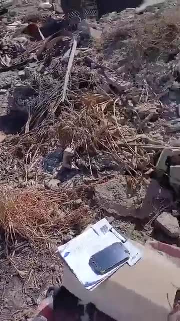 Según las desgarradoras imágenes, se trataba de una perrita a cargo de sus cachorros y otro perro, quienes fueron amarrados y quemados vivos.