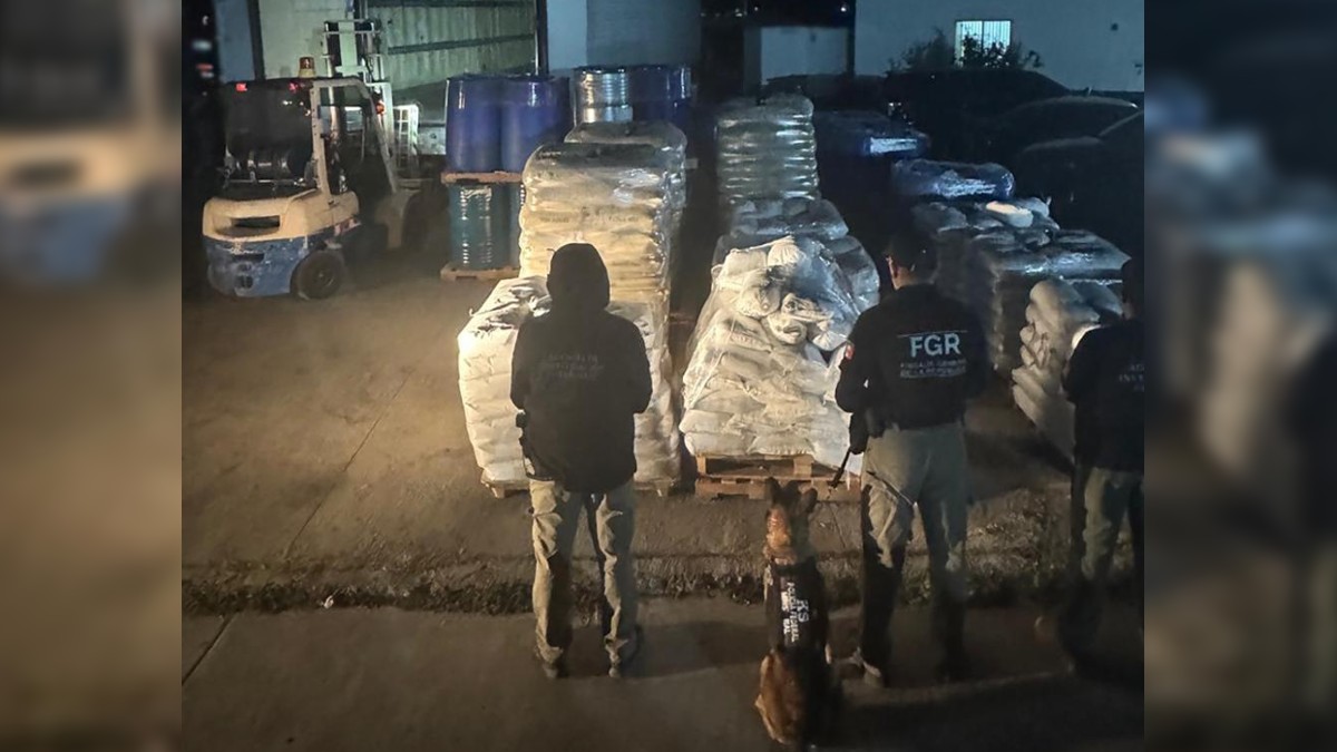 Fotografía de agentes de seguridades con toneladas de droga asegurada, también se observan caninos.