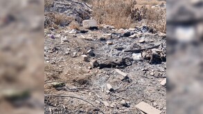 Lote baldío de colonia Jardines San Agustín, donde dos perros fueron quemados vivos, exponiendo la terrible crueldad que se vive en la Comarca Lagunera