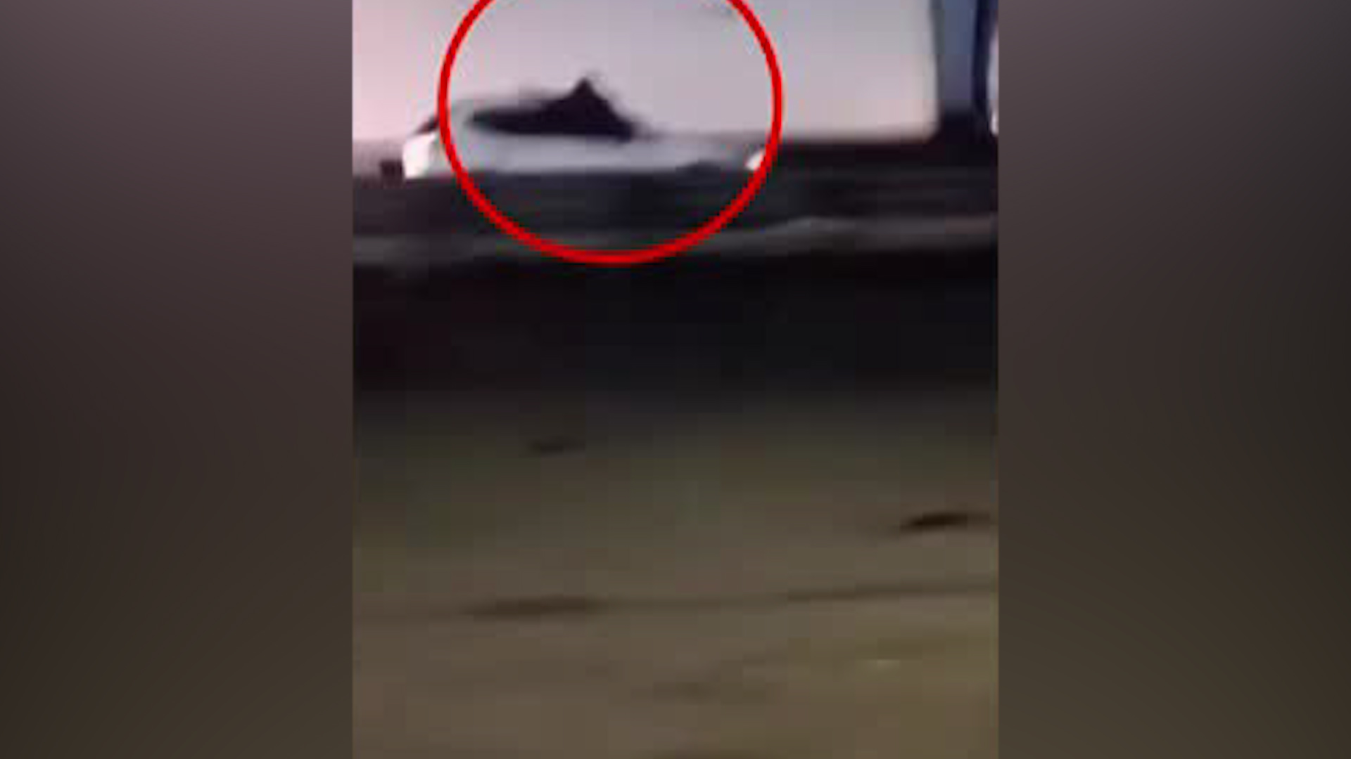 El video muestra como los delincuentes dispararon desde los automóviles hasta que el conductor se detuviera.