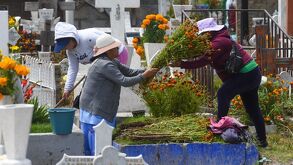 Mujers en un panteón llevando flor de cempasúchil hasta dos tumbas.