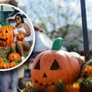Pumpkin Zone Puebla llegará desde octubre a Downtown de Lomas de Angelópolis, siendo su entrada gratuita uno de sus más grandes atractivos. Pumpkin Zone Puebla llegará desde octubre a Downtown de Lomas de Angelópolis, siendo su entrada gratuita uno de sus más grandes atractivos.