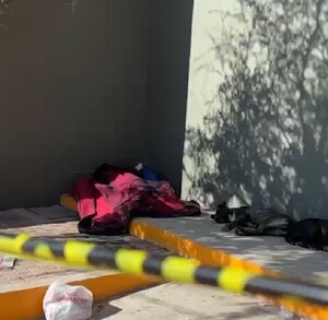 El hombre migrante fue encontrado tirado inconsciente afuera de una tienda acompañado de sus dos perros.