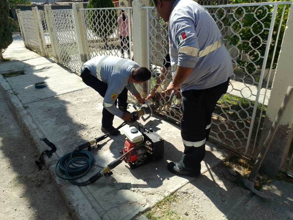 Cachorro atrapado en un barandal en Lerdo fue rescatado por Protección Civil sin sufrir daños Cachorro atrapado en un barandal en Lerdo fue rescatado por Protección Civil sin sufrir daños