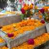 Tumbas adornadas por Día de Muertos en panteón Dolores
