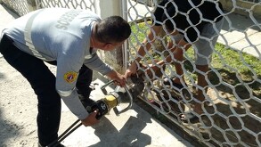 Elementos de Protección Civil rescatando a un perrito atrapado en un barandal.