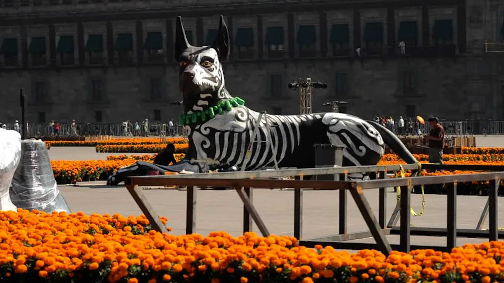Cien mil flores de cempasúchil y 30 figuras a gran escala adornan la plaza de la constitución.