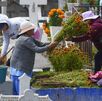 Mujers en un panteón llevando flor de cempasúchil hasta dos tumbas. Mujers en un panteón llevando flor de cempasúchil hasta dos tumbas.
