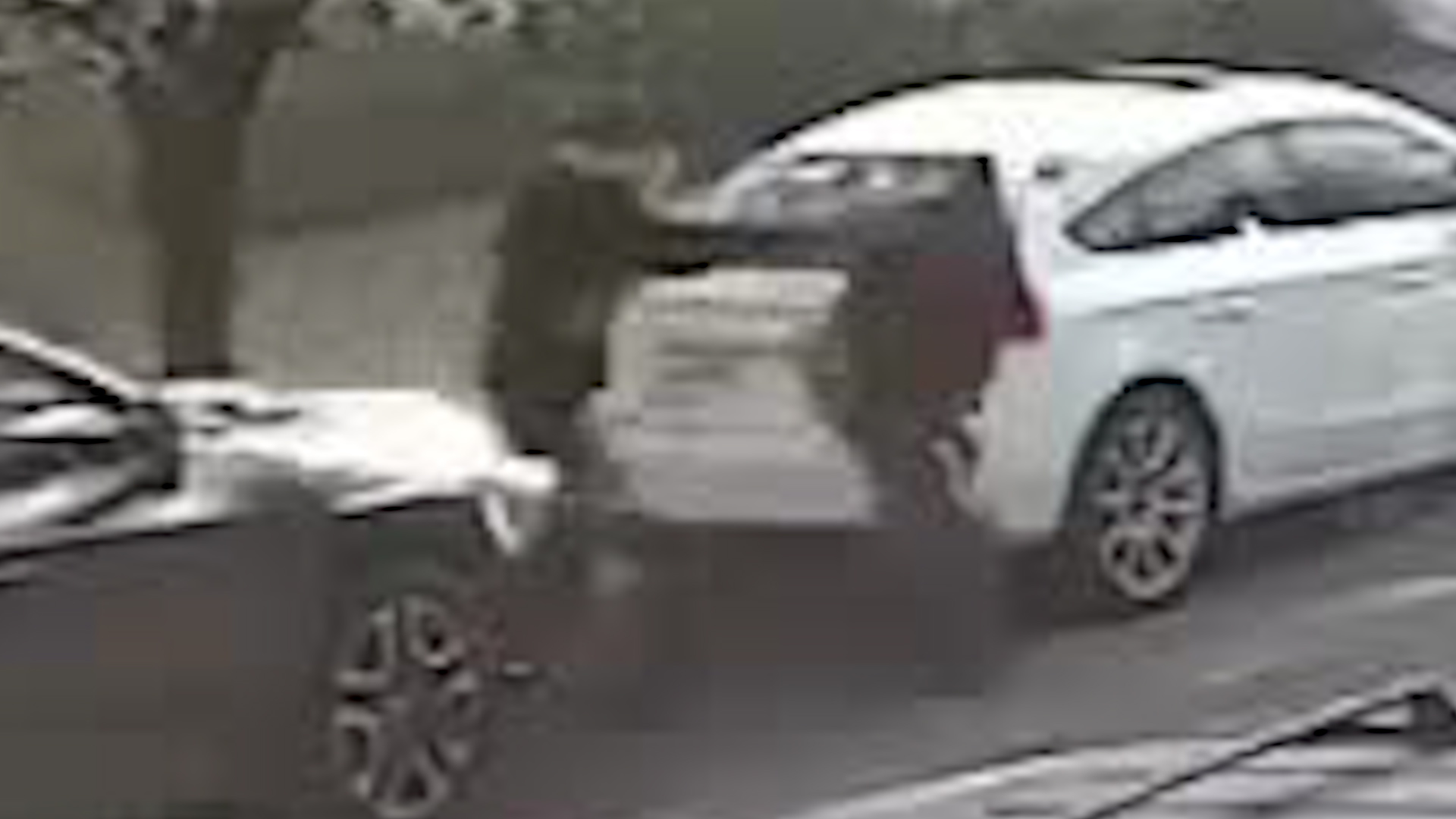 Un video captó el momento en que una mujer fue atacada por su pareja, quien realizó varias detonaciones en plena vía pública.