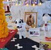 Ofrenda de Día de Muertos dedicada a víctimas de maltrato animal en el municipio de Tehuacán.