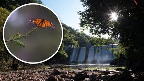 Aspecto de una cascada y un rayo de sol, junto con la imagen miniatura de una mariposa.