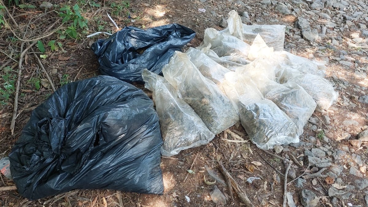 Ilustración digital de una playa al atardecer con tonos naranjas. Tres botes de madera llenos de sacos (posiblemente sandías o melones) están en la arena, y per