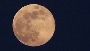 Hombre preguntándose cuándo será la Luna Llena de noviembre de 2025.